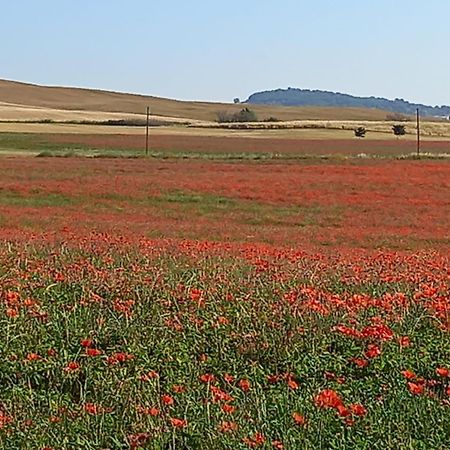 Appartamento Con Vista Panoramica بيينْسا المظهر الخارجي الصورة