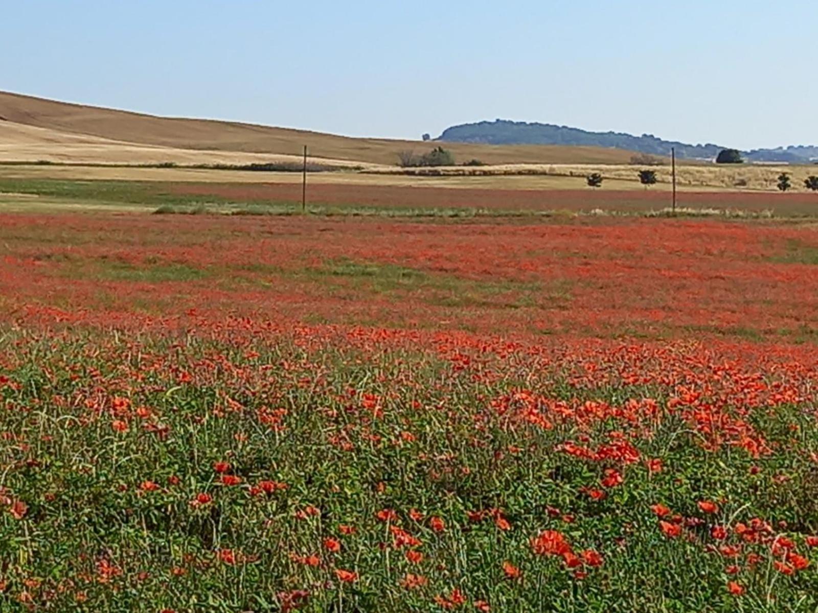 Appartamento Con Vista Panoramica بيينْسا المظهر الخارجي الصورة